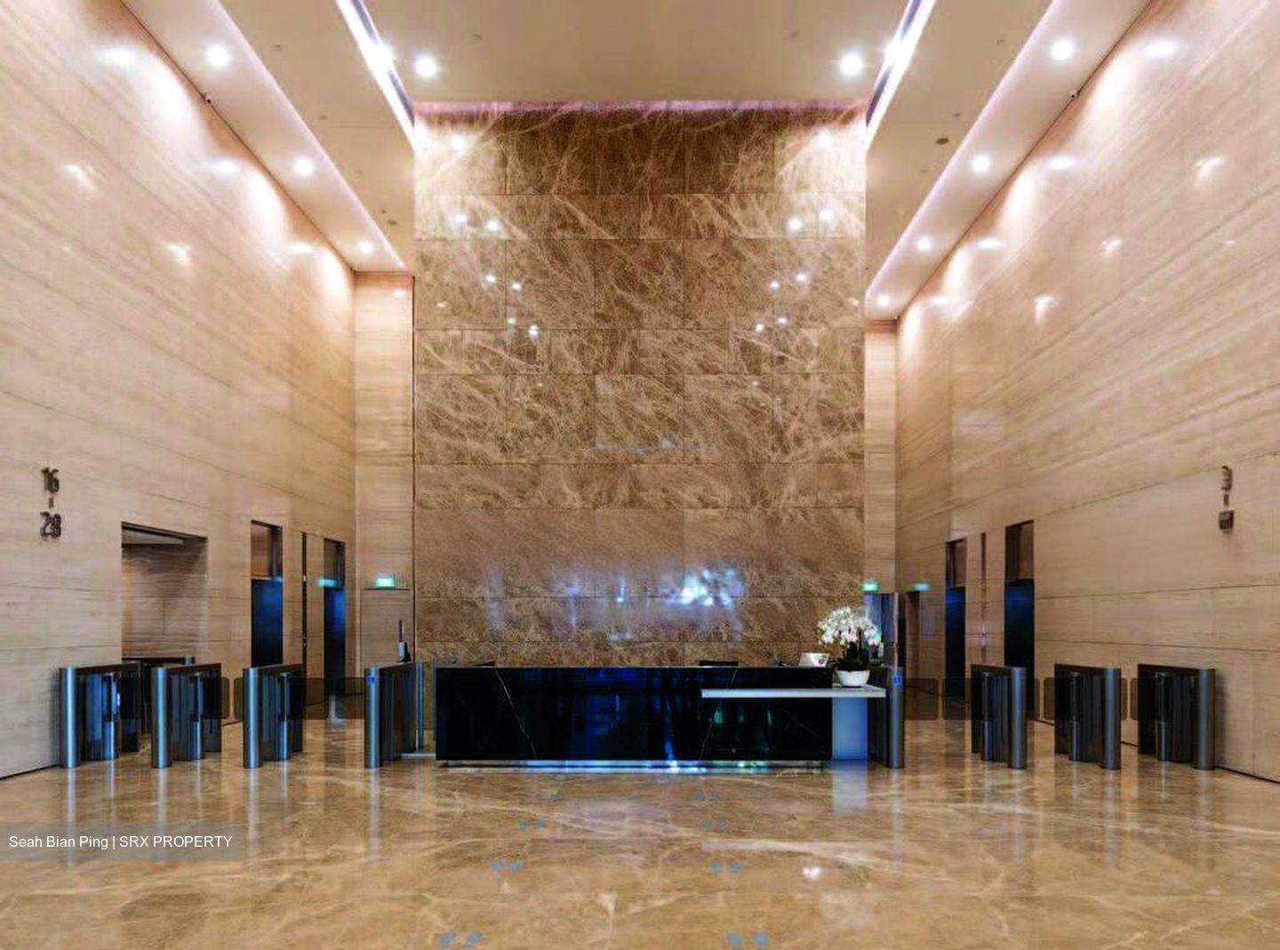 PLUS (D1), Office #476136811